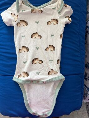 Kyte BABY White Onesie with Mint Trim and Hedgehog Print